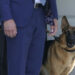 Medien: Bidens Hund Commander muss wegen Beißvorfällen Weißes Haus verlassen