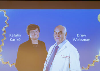 Medizin-Nobelpreis geht an Entwickler von Corona-Impfstoffen