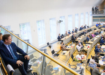 Neue Umfrage sieht AfD in Sachsen-Anhalt vorn – Ampel bei 17 Prozent