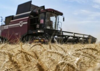 Russland und China unterzeichnen größten Vertrag über Lieferung von Getreide