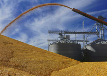 Teheran bietet Moskau Transportkorridore für Getreideexporte aus Russland an