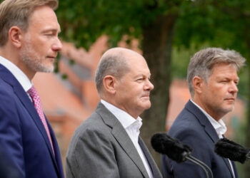 Von der Dummheit in der Politik