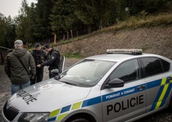 Wegen illegaler Migration: Polen, Tschechien und Österreich führen Grenzkontrollen ein