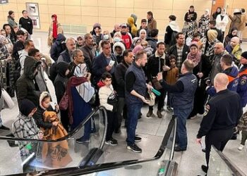 Außenministerium Russlands zur fortdauernden Evakuierung aus Gaza