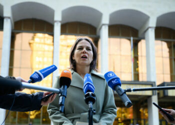 Baerbock wechselt den Beruf