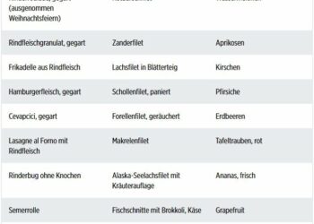 Bundeswehr-Ernährungsplan 2024: Weniger Fleisch, Frischobst und Fisch