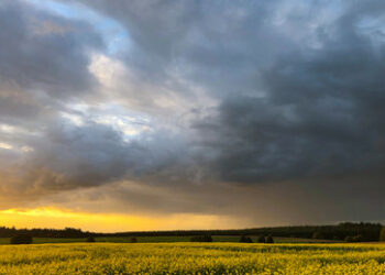 Die Teilung der Welt und der Gesellschaft in Gut und Böse