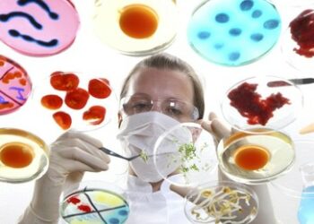 Kulturgut Küche: Italiens Parlament stimmt gegen Laborfleisch