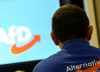 Politologin: Politik muss sich Gedanken über Regierungsbeteiligungen der AfD machen