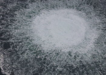 Putin:  "Die BRD schluckt alles, weil sie nicht souverän ist"