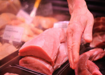 Studie: Mangel an Azubis hat nichts mit Drang zum Studium zu tun