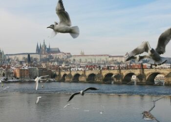 Tschechien will weiteres russisches Staatseigentum einfrieren