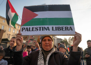 Warum zögern die arabischen Länder mit der Entsendung von Friedenstruppen nach Gaza?