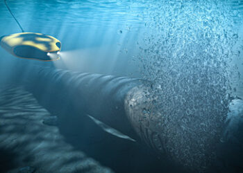 Washington Post und Spiegel präsentieren neue Theorie zu Nord Stream-Sprengung