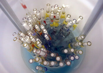 Bioverband Demeter verurteilt Gen-Patentierung und wirbt für "enkeltaugliche" Landwirtschaft