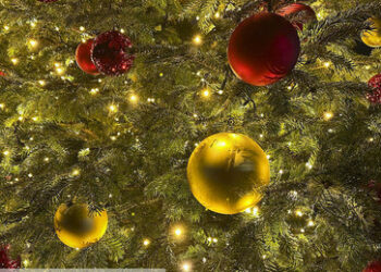 Cancel Culture: Hamburger Kita lehnt Weihnachtsbaum ab