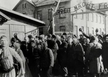 Die Niederlande spionierten Auschwitz-Überlebende aus