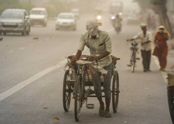 Indien: Wie Elektrofahrzeuge die Umwelt schädigen, die sie retten sollen