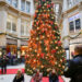 Jetzt verschandelt "Letzte Generation" auch Weihnachtsbäume