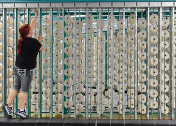 Neues EU-Verbot: Ressourcenschonung oder Angriff auf afrikanische Märkte?