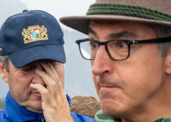 Özdemir als Unschuld vom Lande