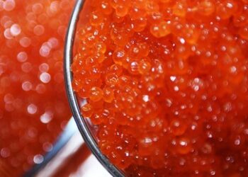 Russland: Fischproduktion gestiegen – Preis für roten Kaviar fällt drastisch