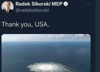 "Thank you, USA": Radosław Sikorski erneut polnischer Außenminister