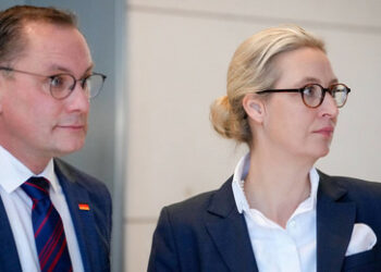 24 Prozent – Neuer Rekord für die AfD bei der "Sonntagsumfrage" zur Bundestagswahl