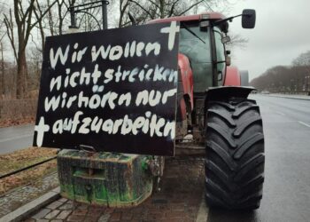 Bauernproteste weiten sich auf ganz Europa aus – auch ostdeutsches Netto-Logistikzentrum blockiert