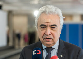 Chef der Internationalen Energieagentur Birol: "Ausstieg aus der Kernkraft ist historischer Fehler"