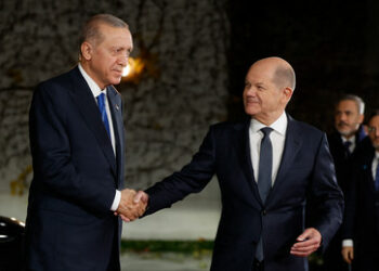 DAVA: erst neues Einbürgerungsrecht, dann neue Partei für Muslime