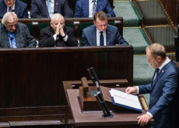 Deutschlands geplante Panzerbrigade in Litauen – erster Schritt zum "Militärischen Schengen"?