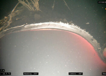 Die Feindstaatenklausel in der UN-Charta – Deutschland muss sich aus der Vormundschaft befreien