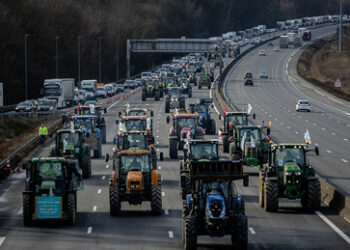 EU-Kommission: Zollbefreiung für Landwirtschaftsprodukte aus der Ukraine bis 2025 verlängert