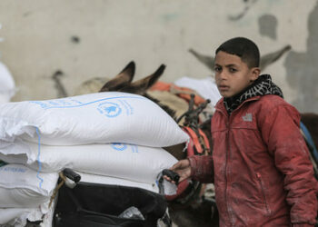 Gaza-Konflikt: Statt den Genozid zu verhindern, leistet Deutschland aktive Beihilfe