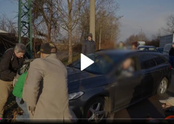 Halle: Die gar schauerliche Moritat vom angefahrenen grünen Landtagsabgeordneten