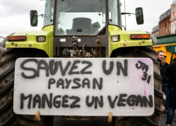 Jetzt gehen auch die französischen Bauern auf die Straßen