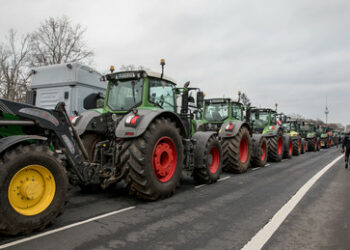 Liveticker Bauern-Proteste in Deutschland: Blockaden von Autobahnen in Brandenburg