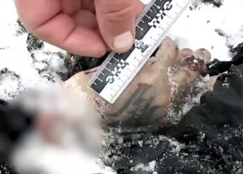 Russische Ermittler legen Beweise für die Anwesenheit ukrainischer Soldaten an Bord der Il-76 vor