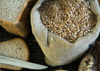 Russische Regierung erhöht Fördermittel für Landwirte