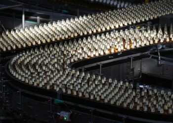 Russischer Politiker fordert Einfuhrverbot für Bier aus unfreundlichen Ländern