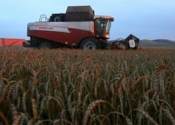 Russland stellt Rekord bei Ausfuhr von Getreide und Hülsenfürchten auf