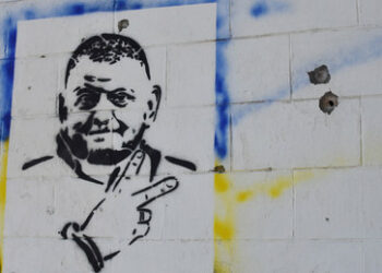 Saluschny-Kritikerin von ihrem Posten in Werchowna Rada abberufen