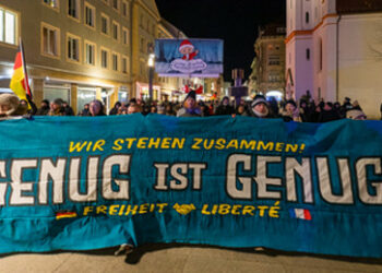 Umfrage: Keine Mehrheit für ein AfD-Verbot