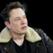 Warum sich die Liberalen an Elon Musk rächen
