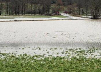 Winterweizen, Zuckerrüben und Kartoffeln saufen ab – riesige Schäden für Landwirte