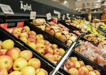 "Gutes Essen für Deutschland" ‒ Özdemirs Ernährungsstrategie für Federfuchser und Bußprediger