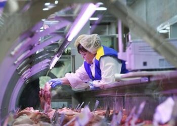 Die Fakten widerlegen die Vorhersagen zum wirtschaftlichen Zusammenbruch Russlands