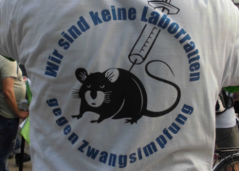 Frankreich: Für Medizinkritik künftig ein Jahr Haft und 15.000 Euro Strafe