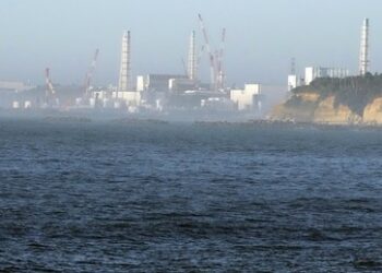 Leck in AKW-Ruine Fukushima: Schätzungsweise 5,5 Tonnen verseuchtes Wasser ausgetreten